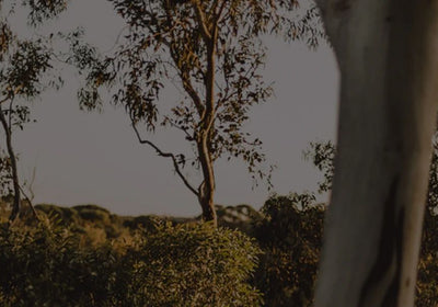 Image: 5 Amazing Bikepacking Trails That You Won't Forget In A Hurry