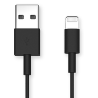 Image: USB A to Lightning Cable
